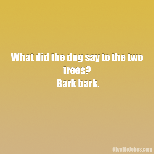 What did the dog say to the two trees? Bark bark. Give me jokes